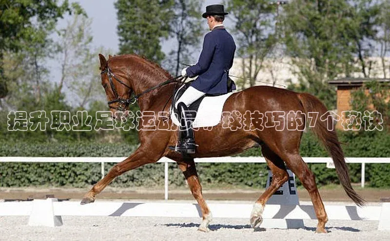 333体育平台App下载梯哥哥科技提升职业足球运动员铲球技巧的7个秘诀