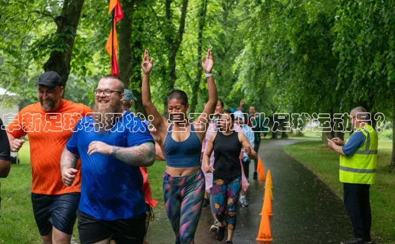 333体育官网登录入口顺丰阜新足球界现状：是否有职业足球运动员？