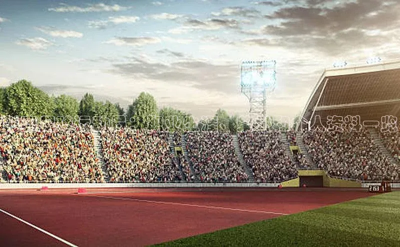 333体育平台app百度人工翻译彭奕足球运动员：职业生涯、荣誉和个人资料一览