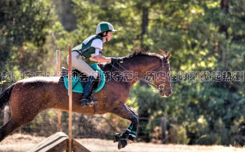 333体育投注网站百度网盘企业版越南东南亚运动会足球夺冠：历史性时刻掀起热潮