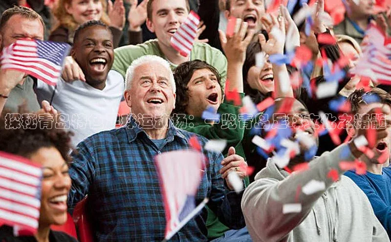 333体育app最新版本更新内容挪威主权基金探秘青岛特色足球运动场：一览青岛足球文化之精髓