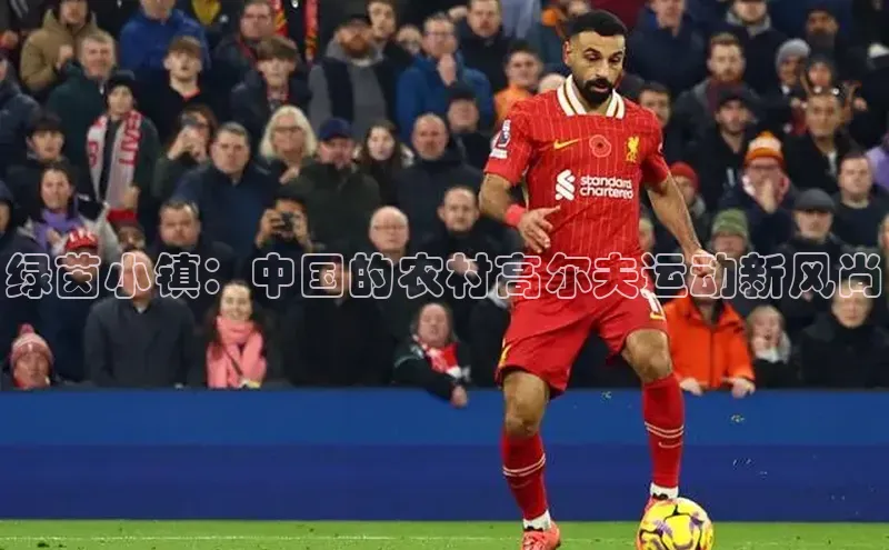 333体育投注网站轻美电器绿茵小镇：中国的农村高尔夫运动新风尚