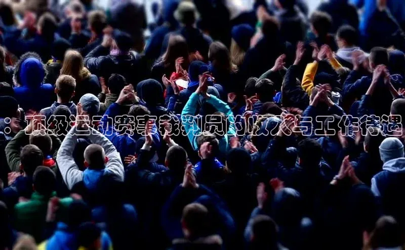 333体育改成3377了吗百度智能门户：顶级运动赛事裁判员的收入与工作待遇