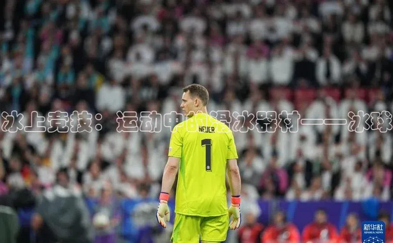 333体育平台网页下载遥望科技