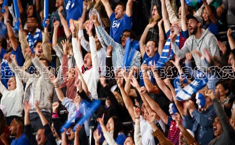 333体育手机版百度信誉