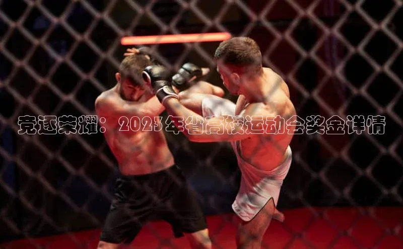 竞逐荣耀：2023年省高校运动会奖金详情