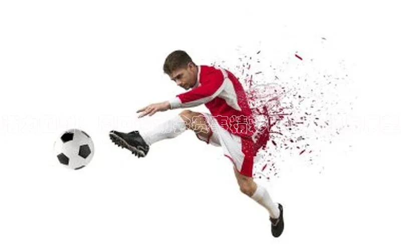 活力四射：周口运动会赛事精彩瞬间回顾与展望