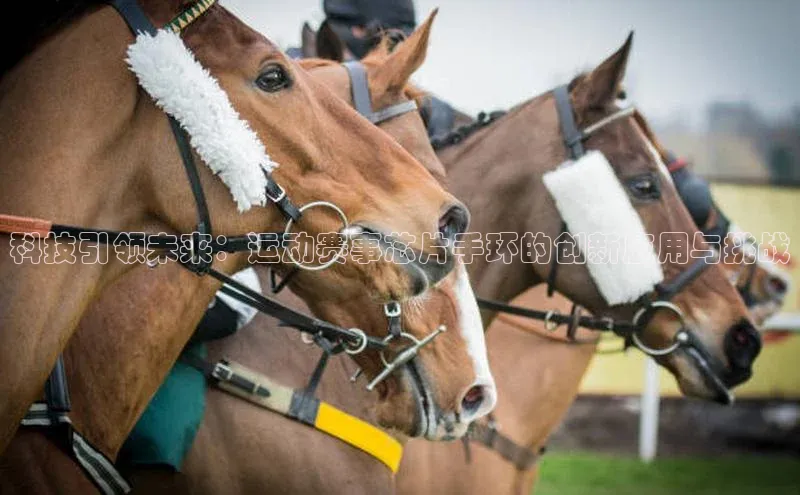 科技引领未来：运动赛事芯片手环的创新应用与挑战