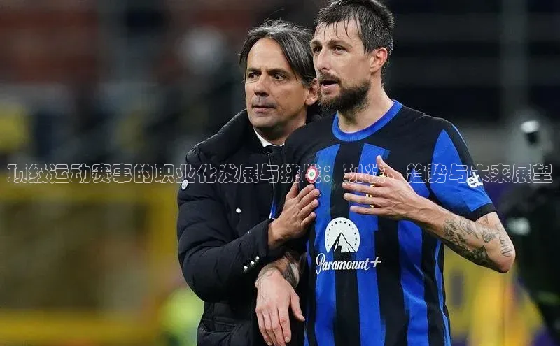 顶级运动赛事的职业化发展与挑战：现状、趋势与未来展望