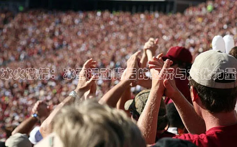 冰火激情：冰雪运动背后的经济与文化力量