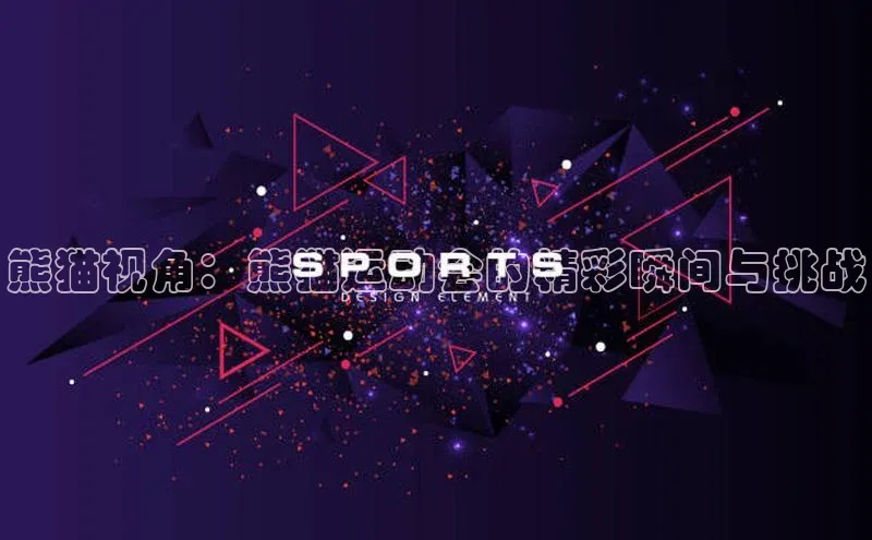 熊猫视角：熊猫运动会的精彩瞬间与挑战