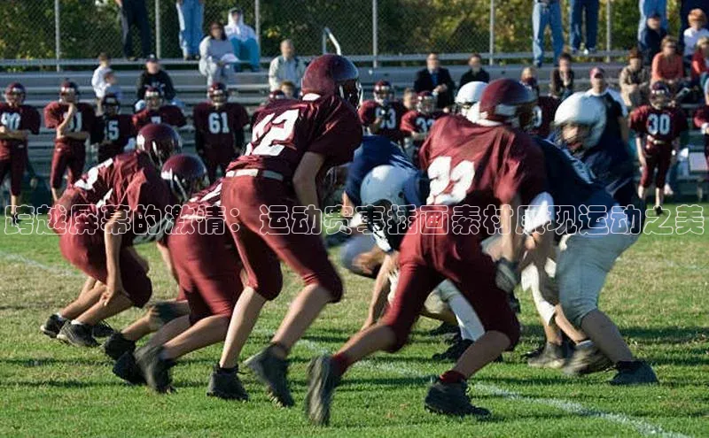 333体育平台网页版