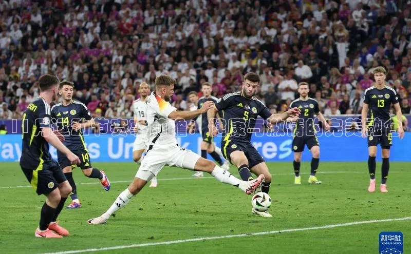 333体育app官方最新版本功能介绍