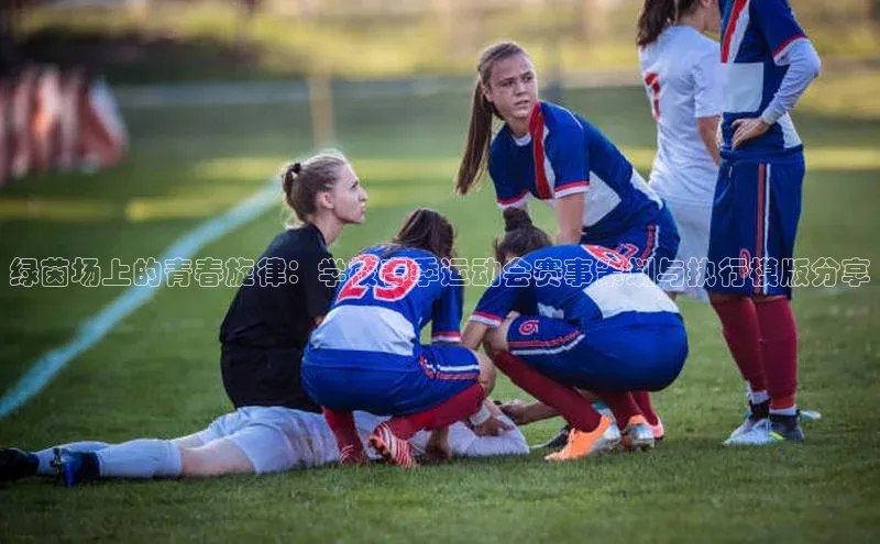 绿茵场上的青春旋律：学校春季运动会赛事策划与执行模版分享