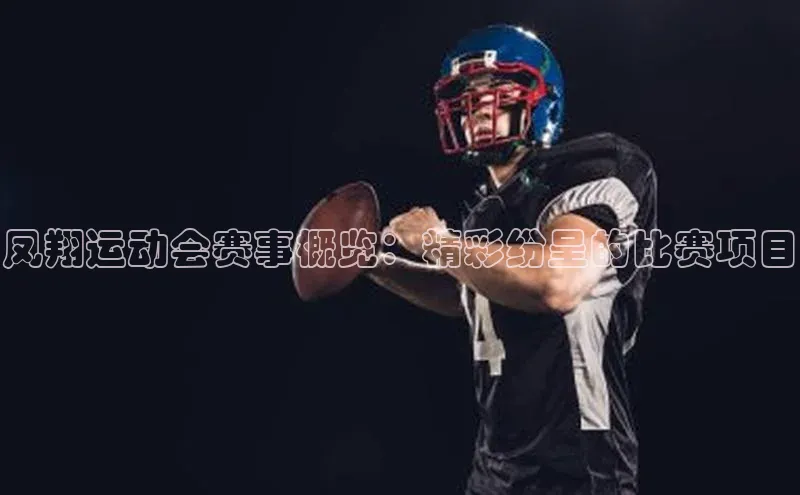 凤翔运动会赛事概览：精彩纷呈的比赛项目