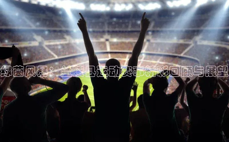 绿茵风暴：兰陵县运动赛事精彩回顾与展望