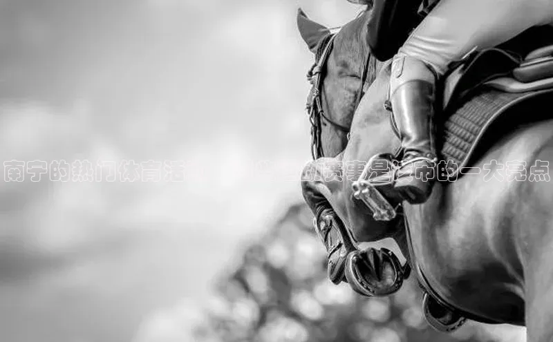 南宁的热门体育活动：哪些运动赛事是该市的一大亮点