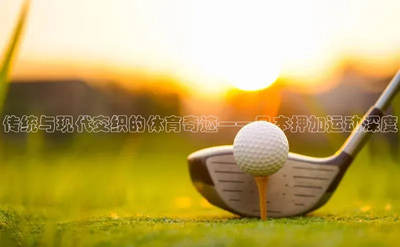 3377体育官方网站