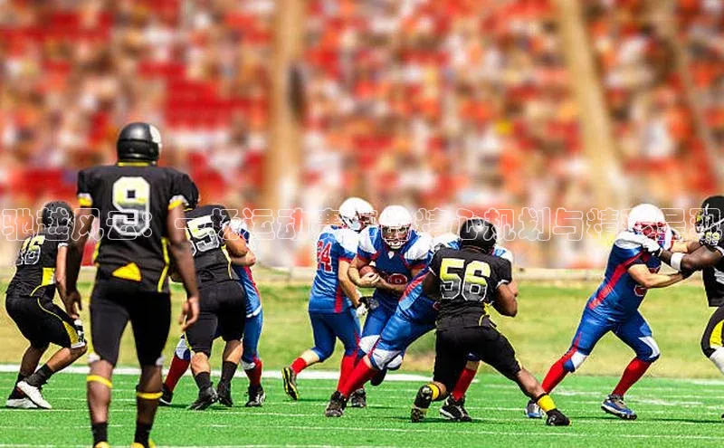 驰越风云：一场运动赛事的精心规划与精彩呈现