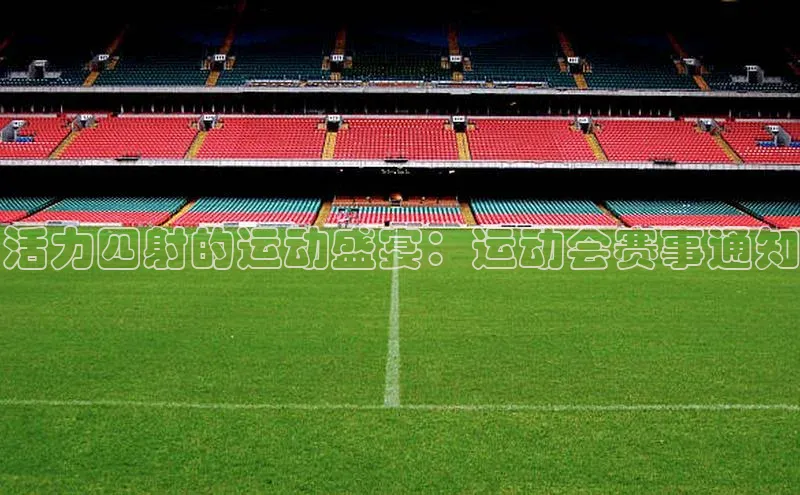 活力四射的运动盛宴：运动会赛事通知