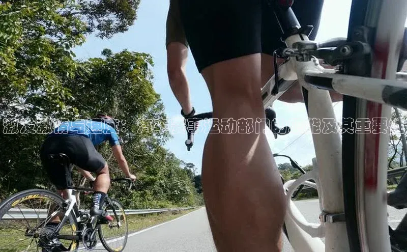 激发激情与速度：汽车赛事运动部门的职能及其重要性