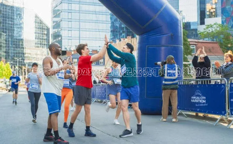 333体育平台网页版